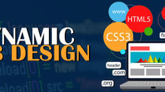 best web designing company in delhi